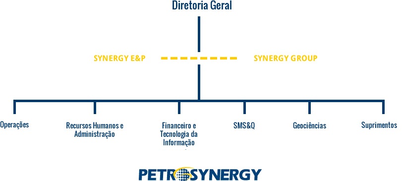 Petrosynergy - Organograma